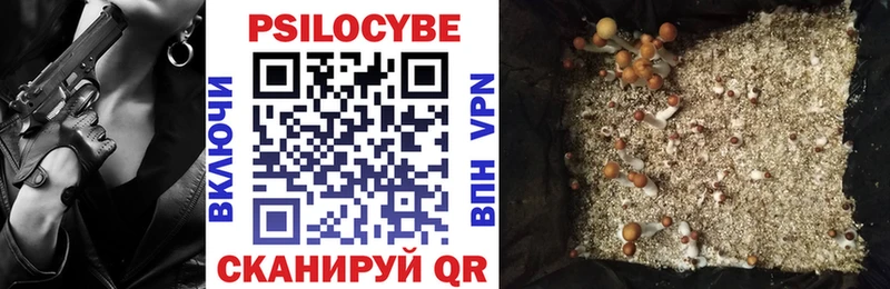 Галлюциногенные грибы Psilocybe  Киров 