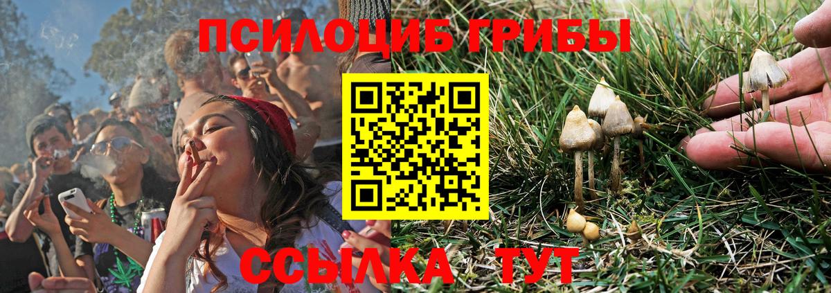 Галлюциногенные грибы GOLDEN TEACHER  Вход с VPN  Киров 